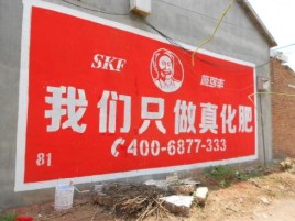 凤阳刷墙广告”蕴含了时代命题