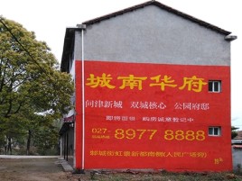 凤阳百分之90的人都不了解的农村墙体广告