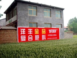 凤阳如何让墙体广告展现最大化效果