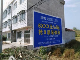 凤阳墙体广告质量分析