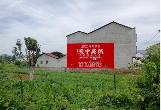 凤阳做墙体广告的意义