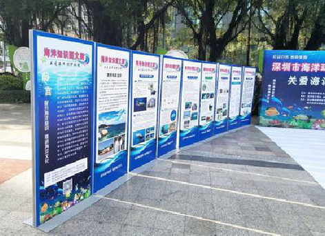 凤阳KT板的种类和知识。